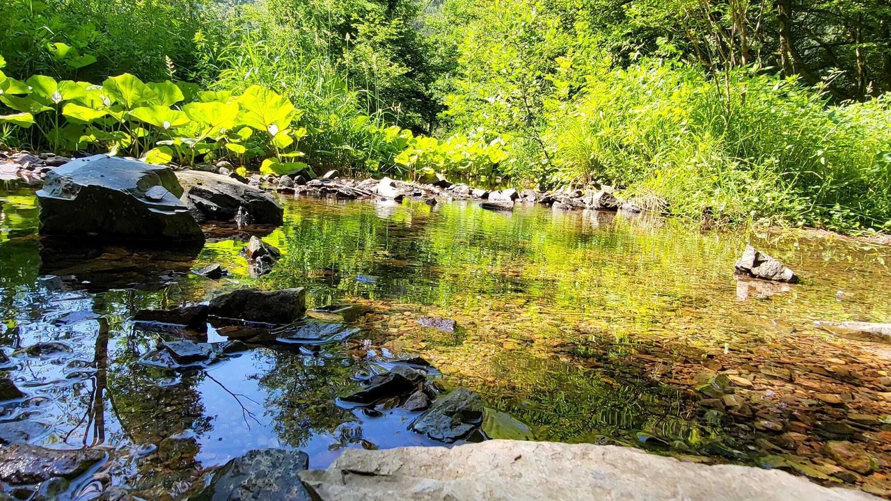 Photo of Outdoor in Bussang