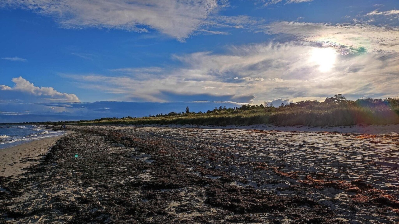 Photo of Others in Bøtø By