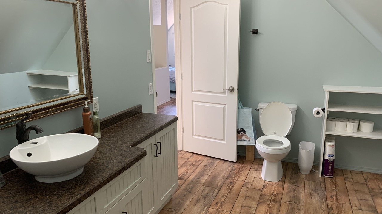 Photo of Bathroom in Deloraine