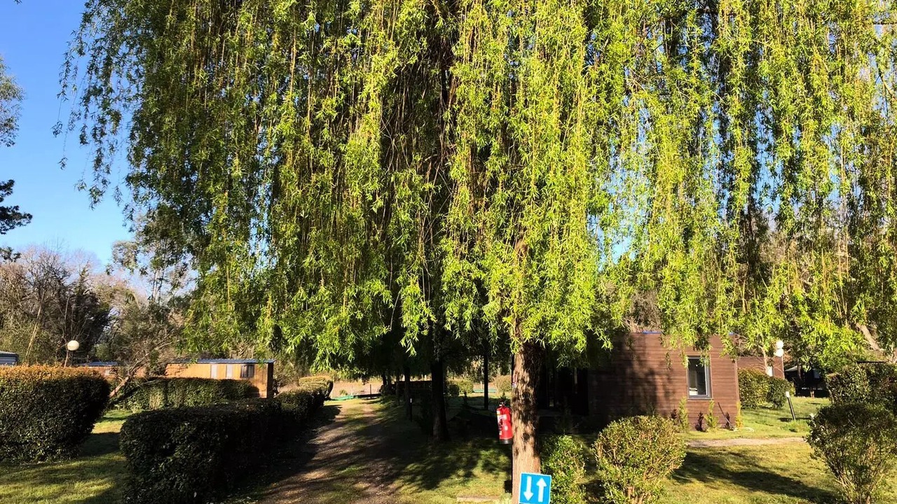 Photo of Others in Onesse-et-Laharie