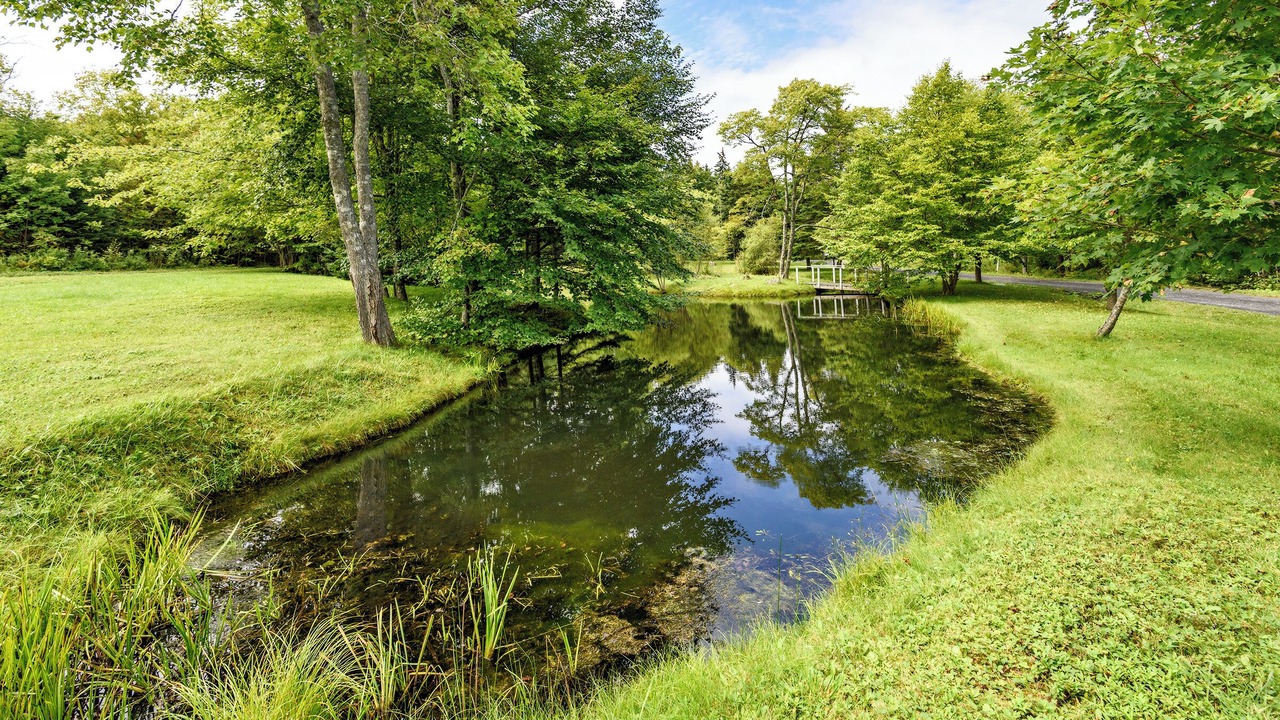 Photo of Others in Mulgrave