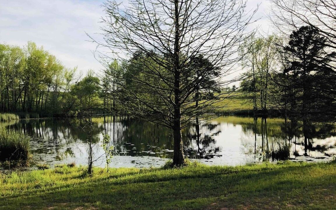Photo of Outdoor in Minden