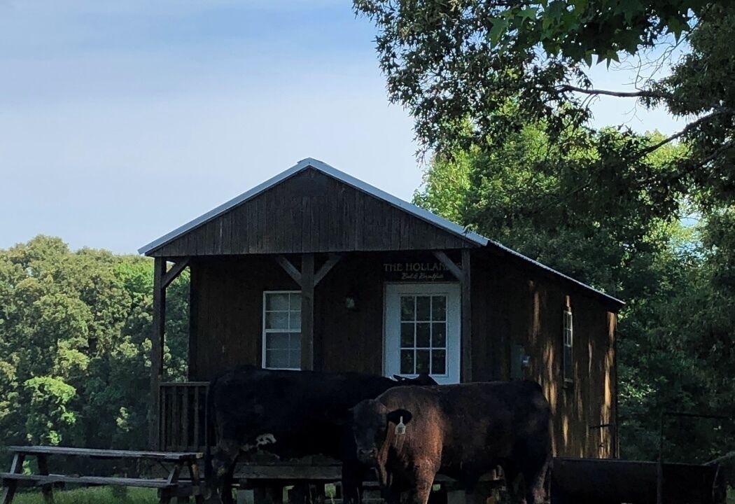 Photo of Outdoor in Minden