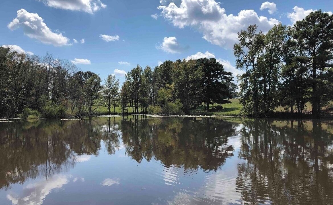Photo of Outdoor in Minden