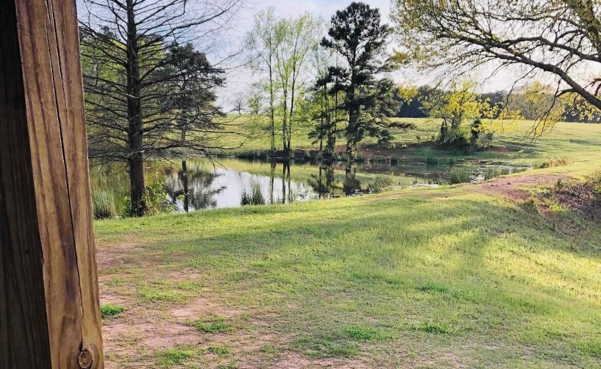 Photo of Outdoor in Minden