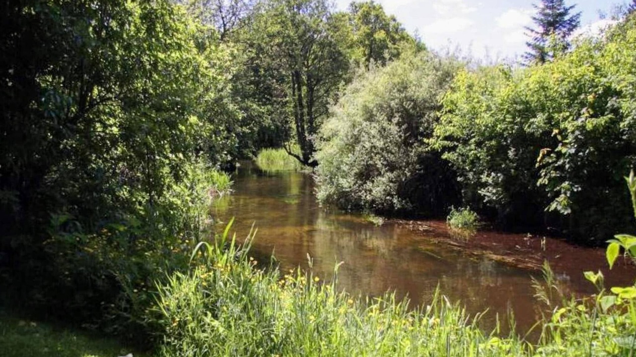 Photo of Others in Hovborg