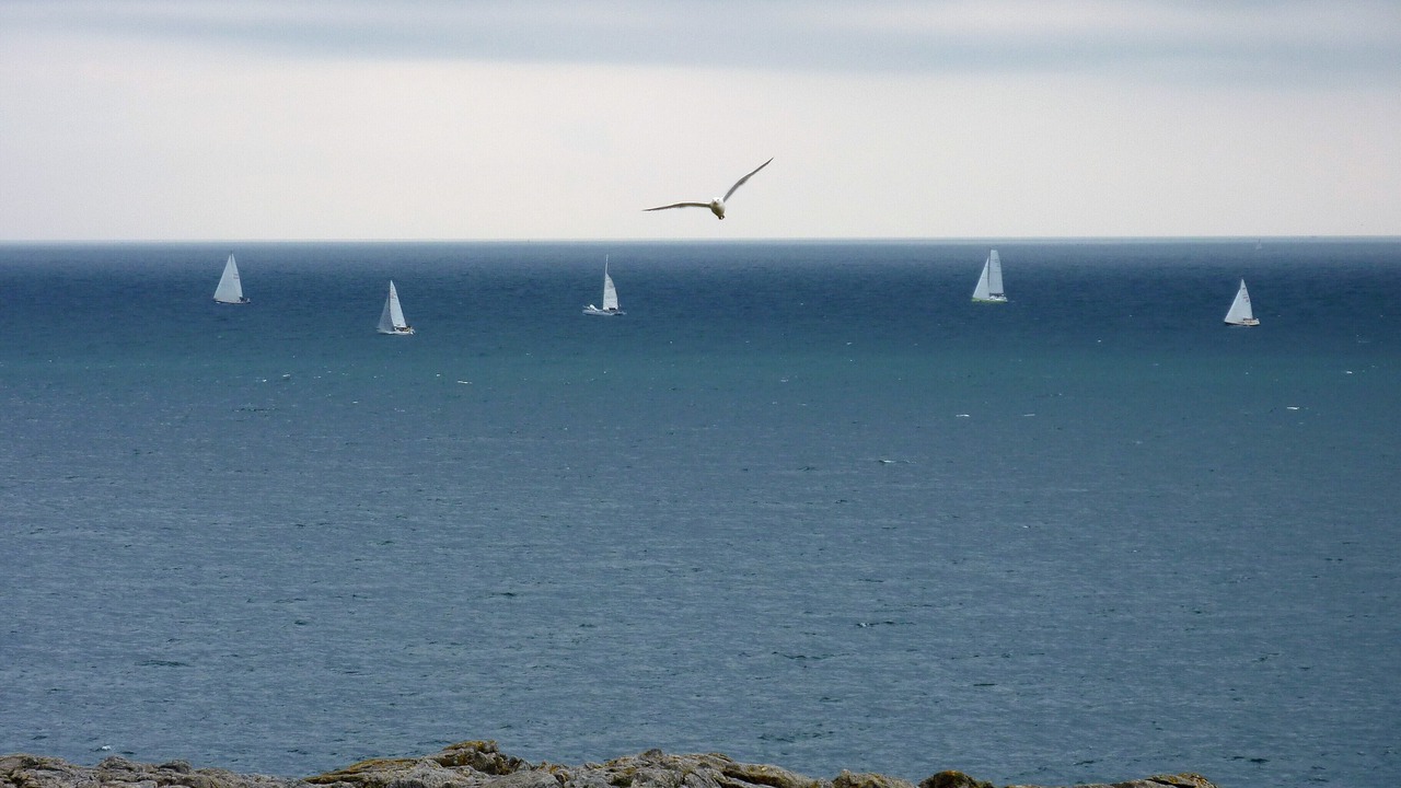 Photo of Others in Le Croisic