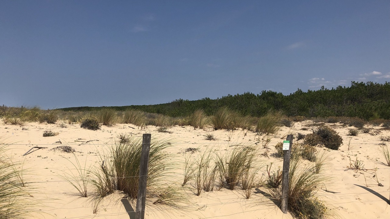 Photo of Outdoor in Le Porge