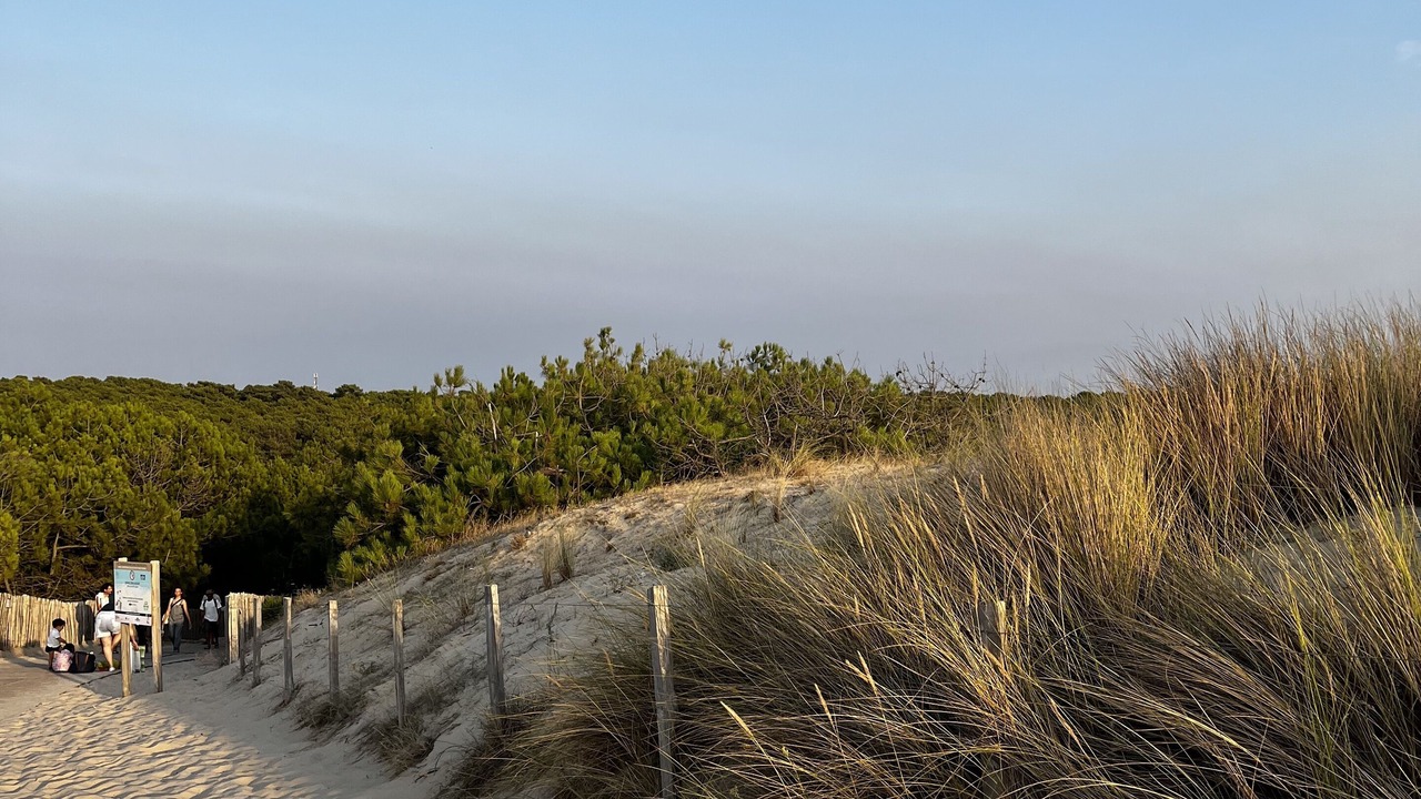 Photo of Others in Le Porge