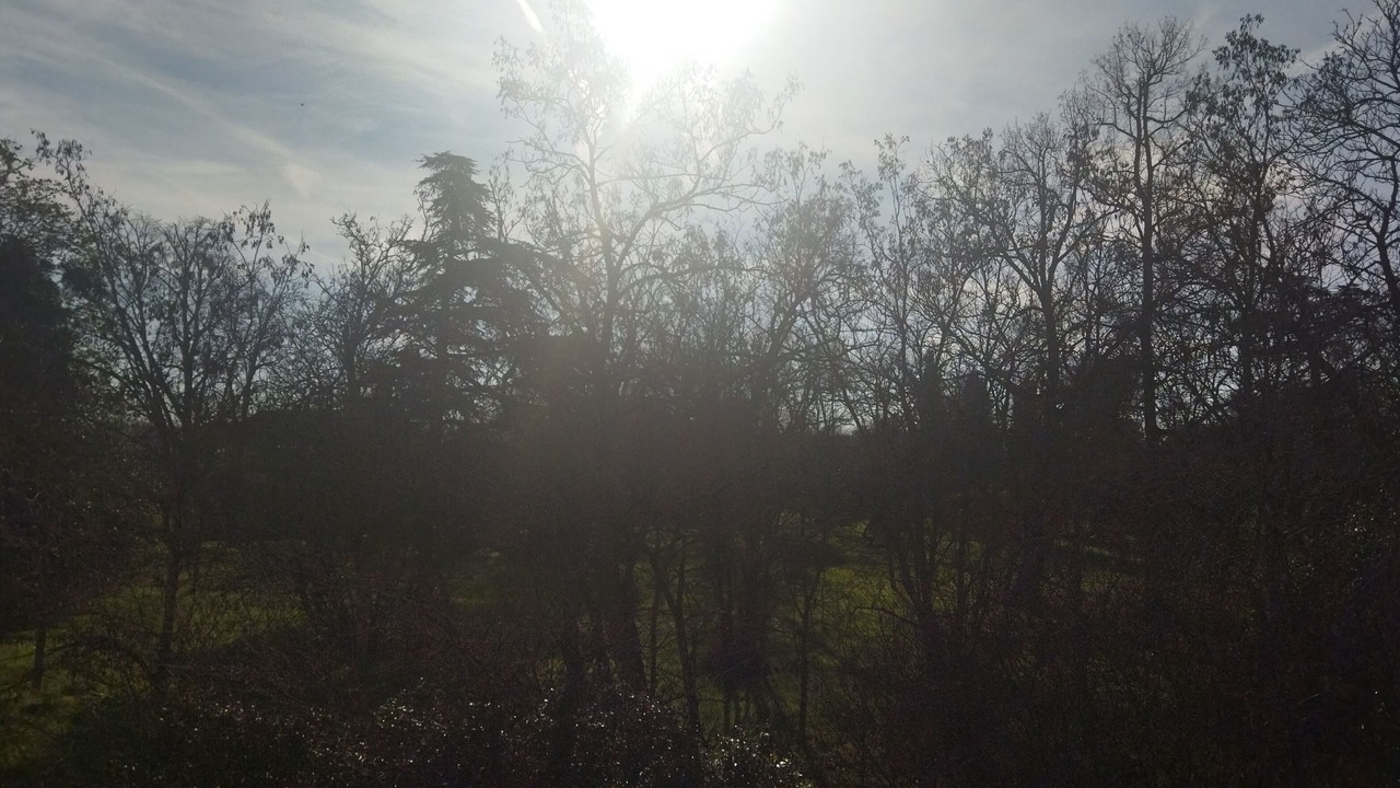 Photo of Outdoor in Leguevin