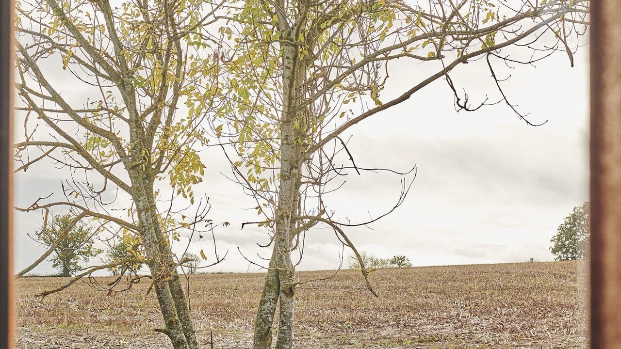 Photo of Others in Pembridge