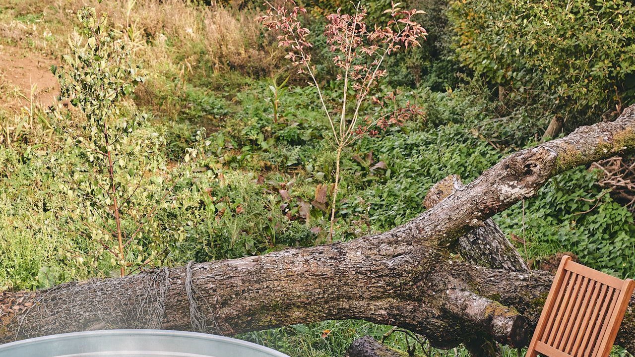 Photo of Others in Pembridge