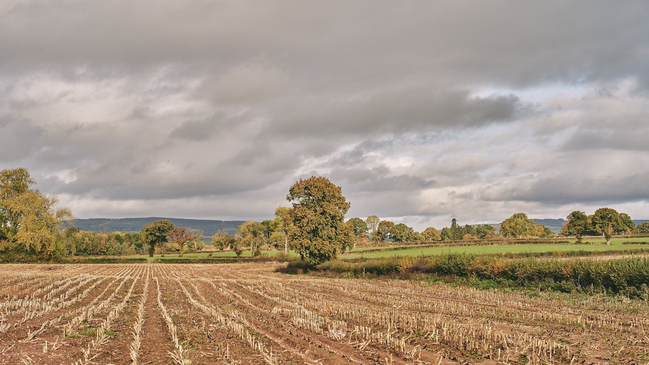 Photo of Others in Pembridge