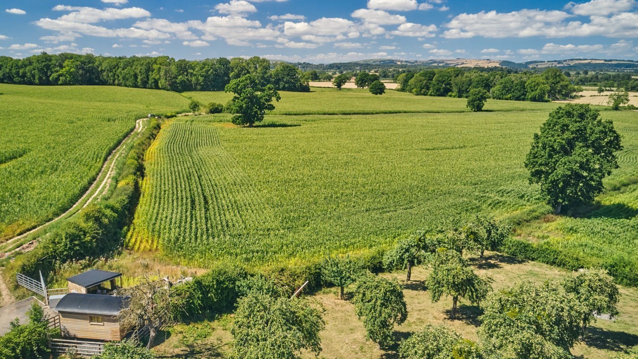 Photo of Others in Pembridge