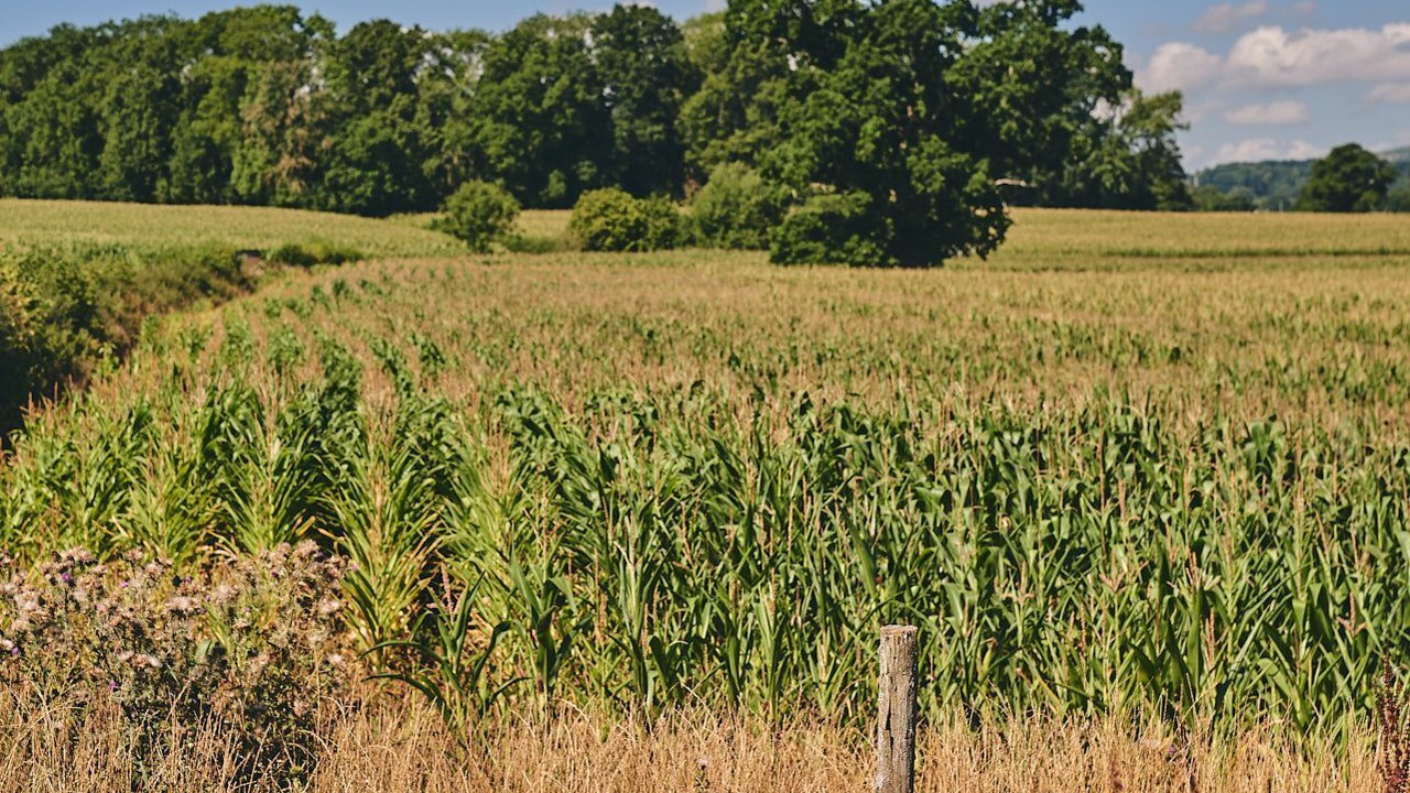 Photo of Outdoor in Pembridge