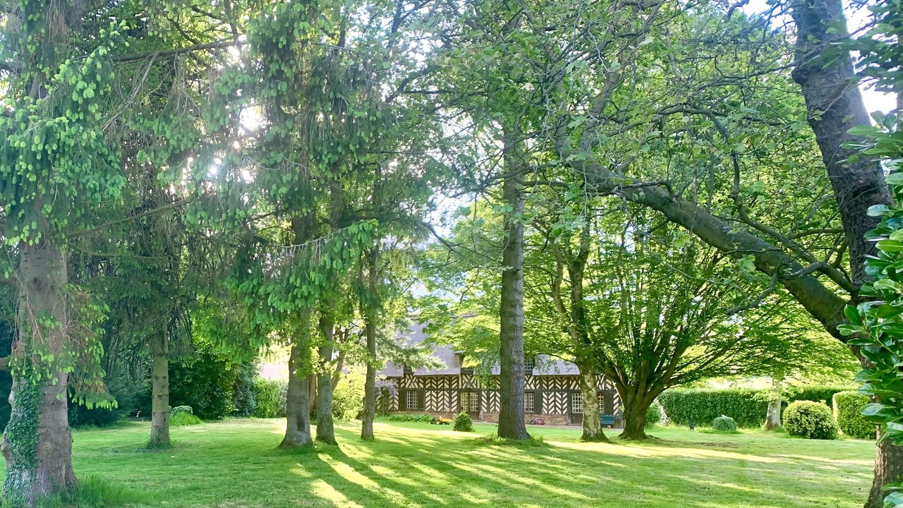 Photo of Outdoor in Moyaux