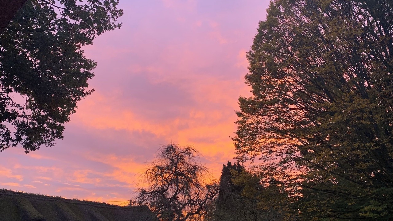 Photo of Outdoor in Moyaux