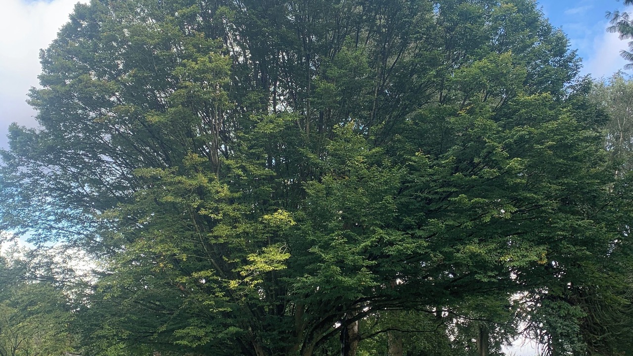 Photo of Outdoor in Moyaux