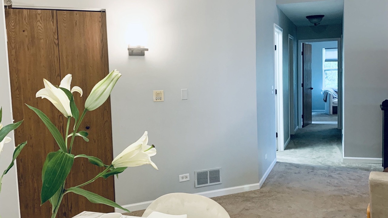 Photo of Others in Naperville