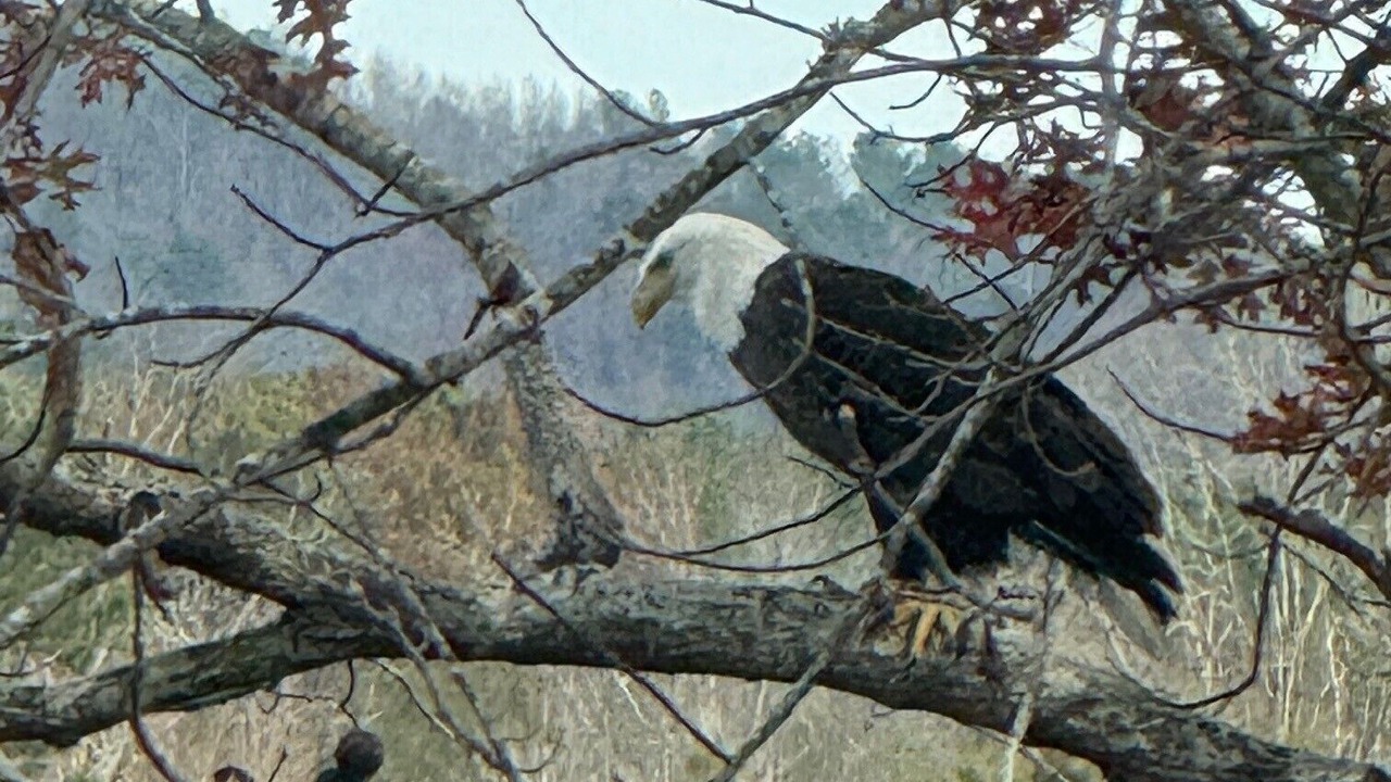 Photo of Others in Ashville