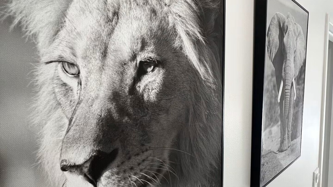 Photo of Others in Cret de Roc