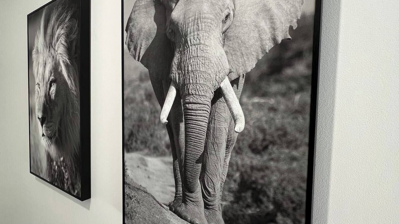 Photo of Others in Cret de Roc