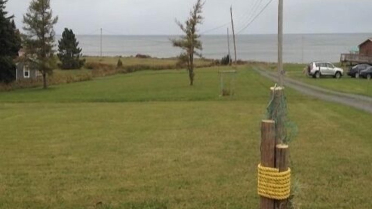 Photo of Outdoor in Wallace