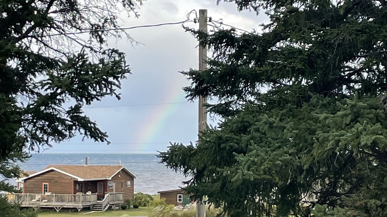 Photo of Others in Wallace