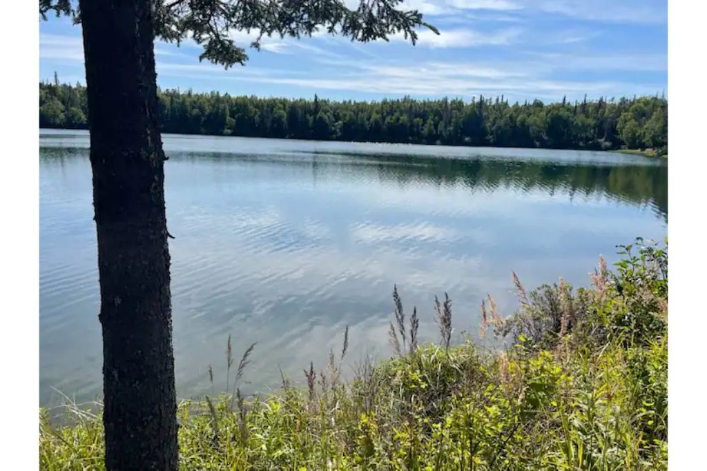 Photo of Outdoor in Nikiski