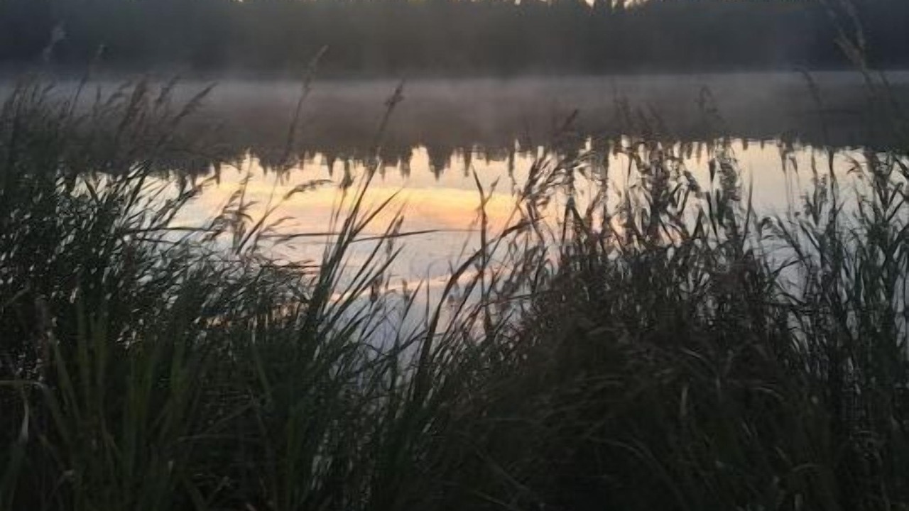 Photo of Outdoor in Nikiski