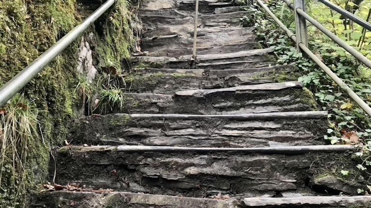 Photo of Others in Llanfarian