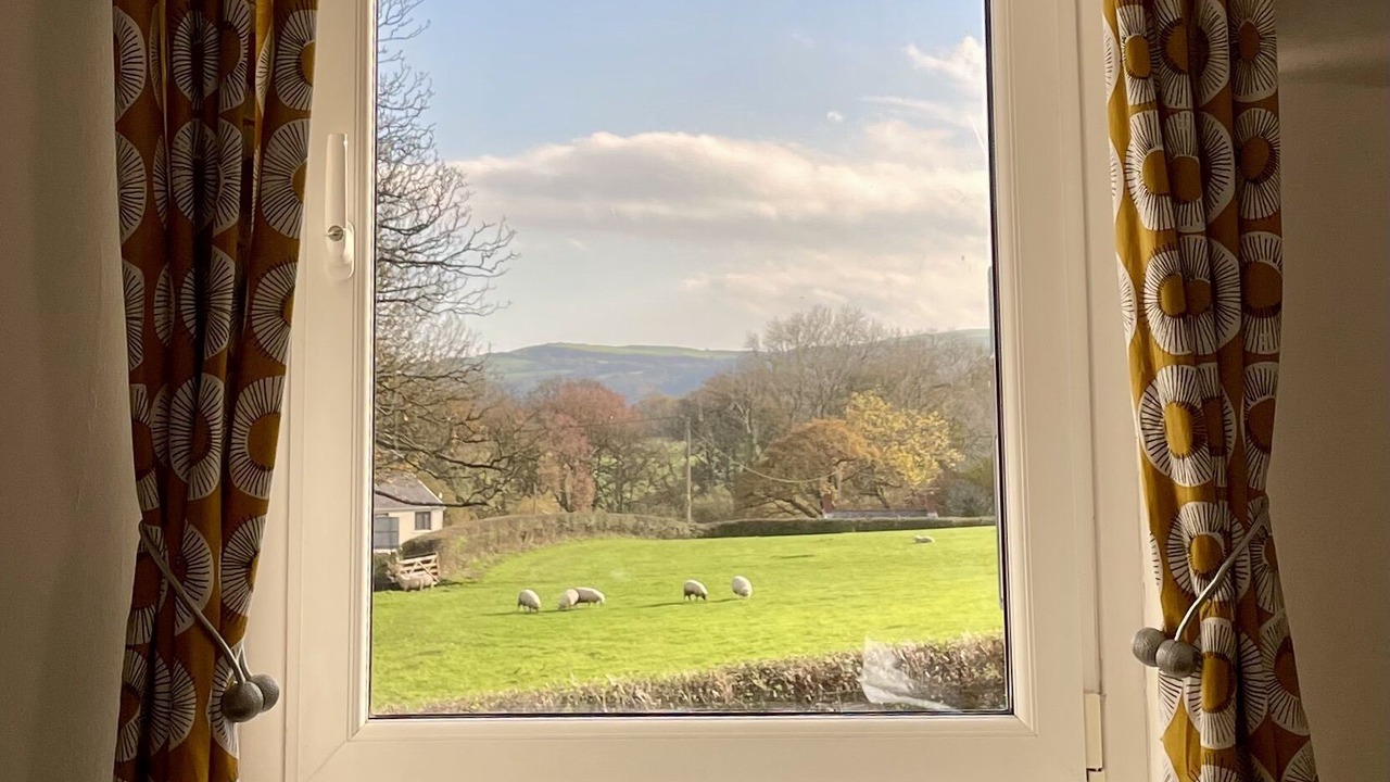 Photo of Others in Llanfarian