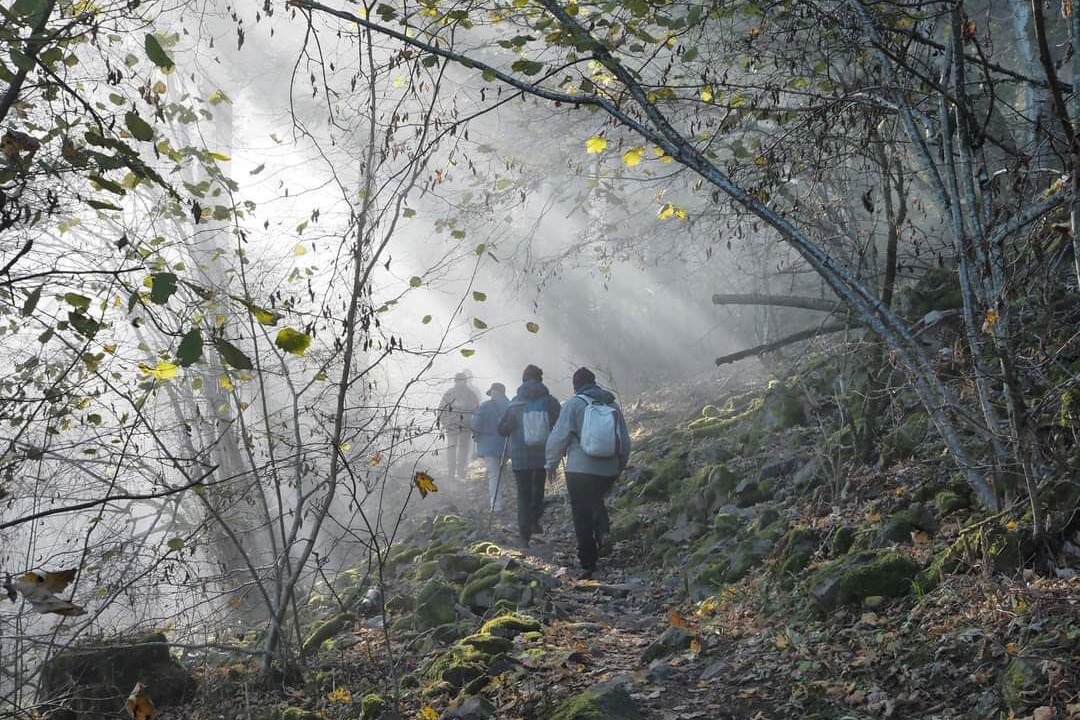 Photo of Outdoor in Thann