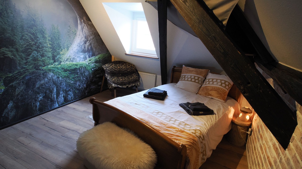 Photo of Bedroom in Thann