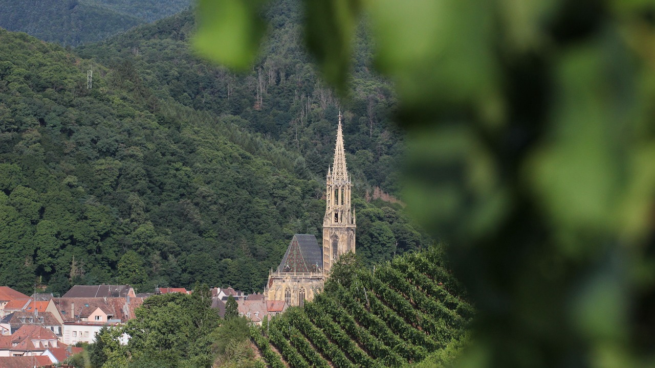 Photo of Outdoor in Thann