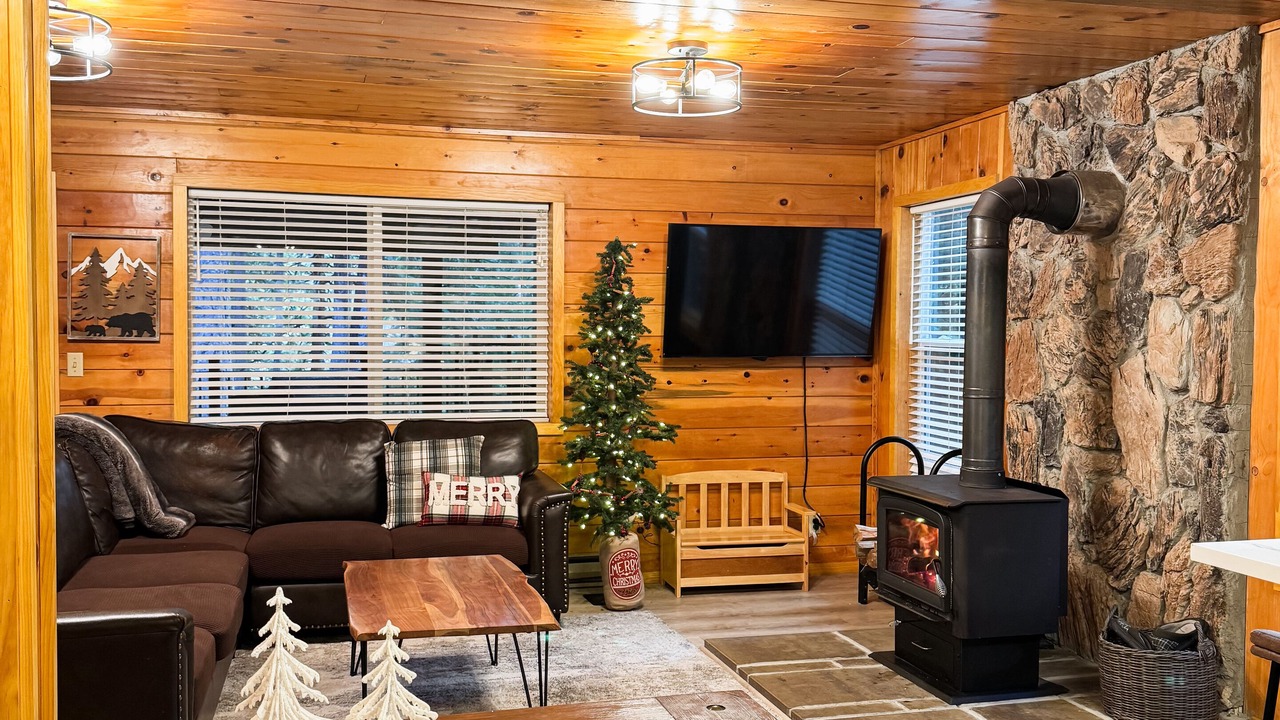 Photo of Livingroom in Alta