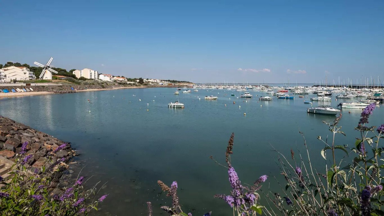 Photo of Others in Jard-sur-Mer