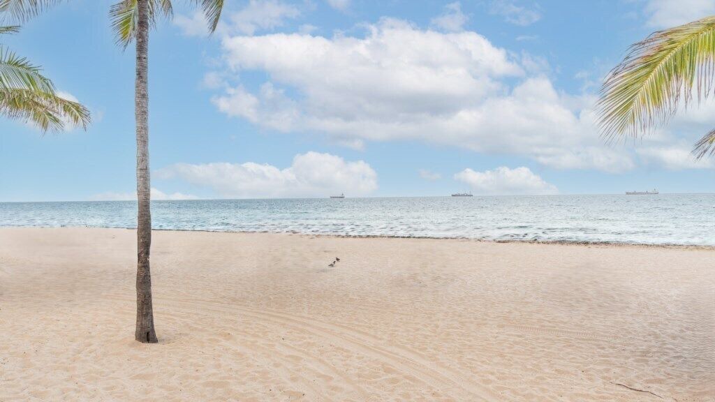 Photo of Others in Central Beach