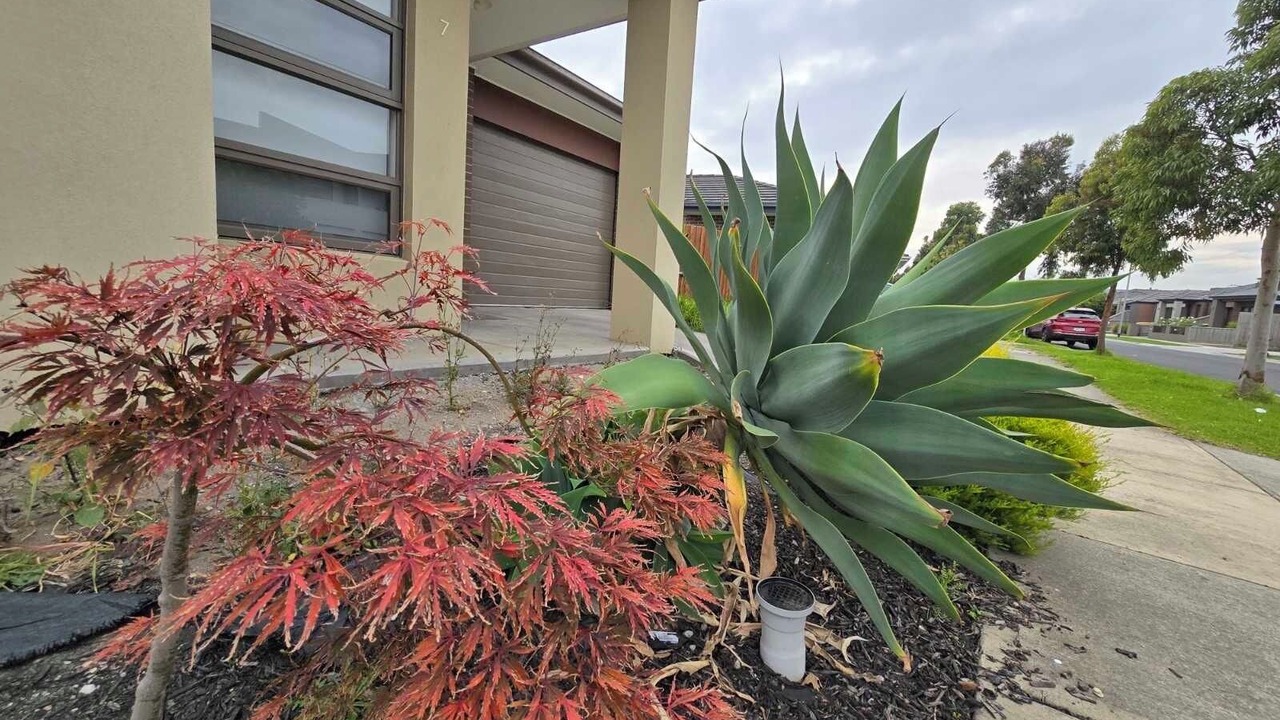 Photo of Outdoor in Pakenham