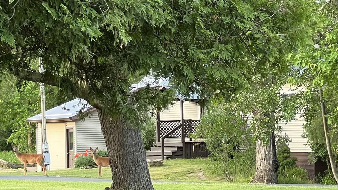 Photo of Outdoor in Lawrenceville