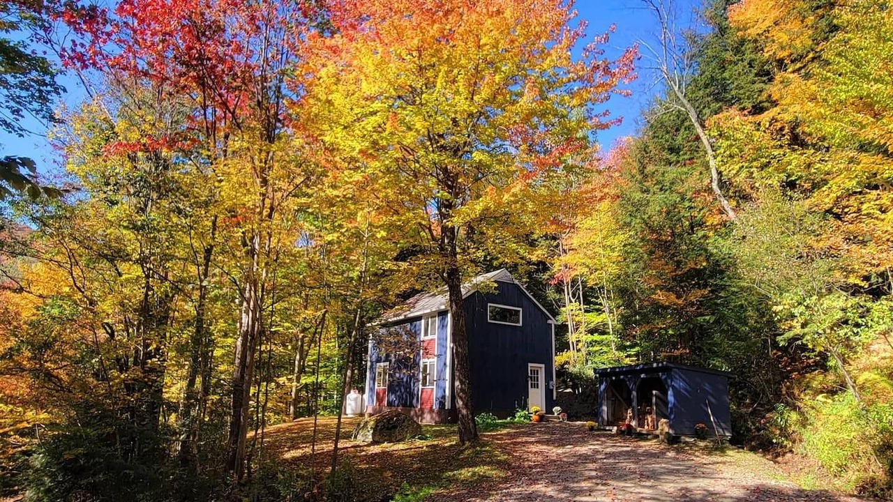 Photo of Outdoor in Warren