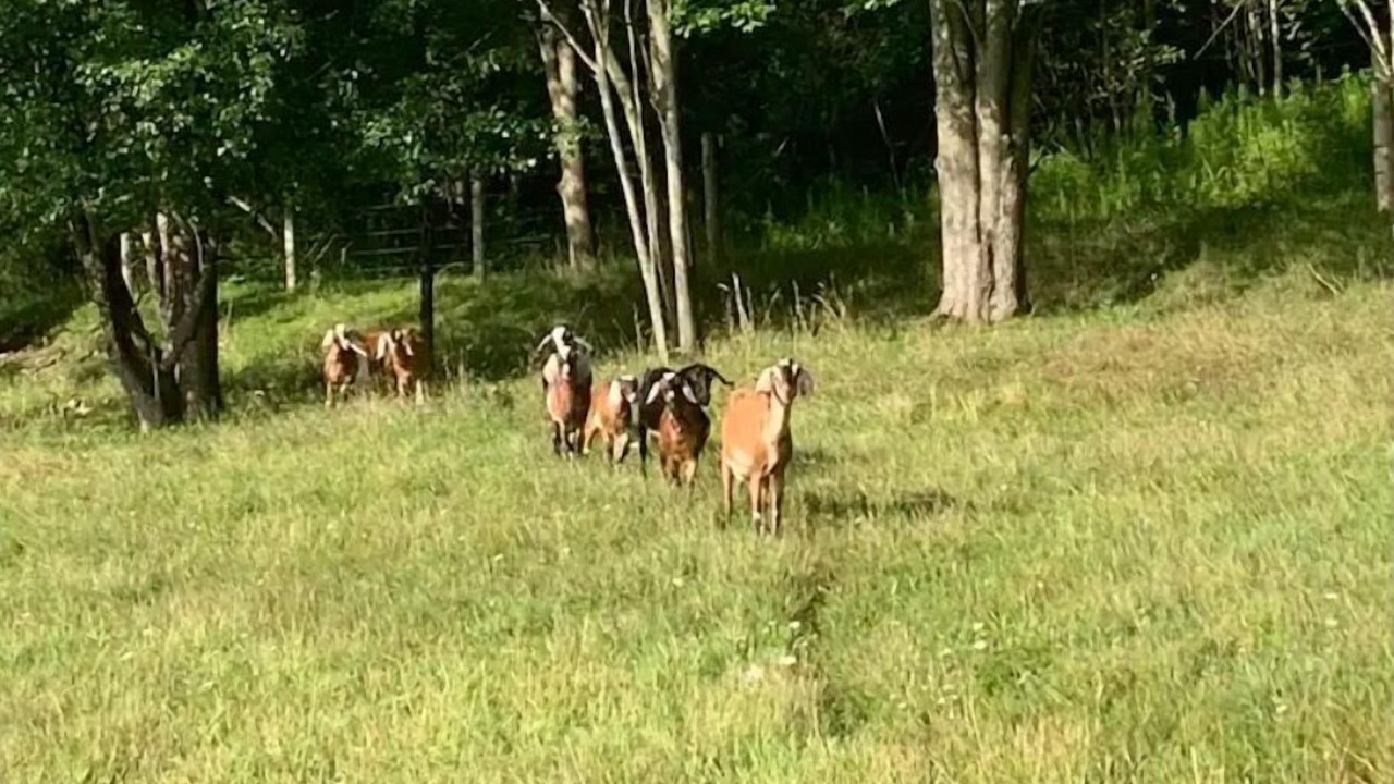 Photo of Outdoor in Beaver Dams