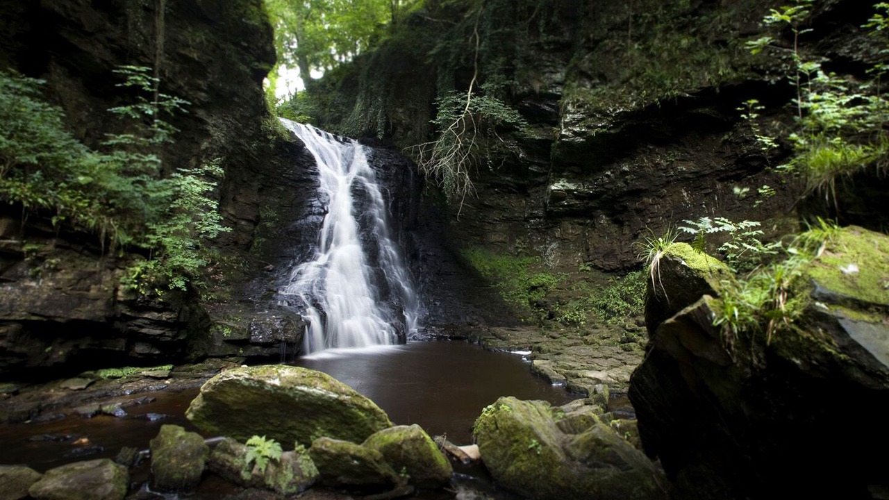 Photo of Others in Tarset