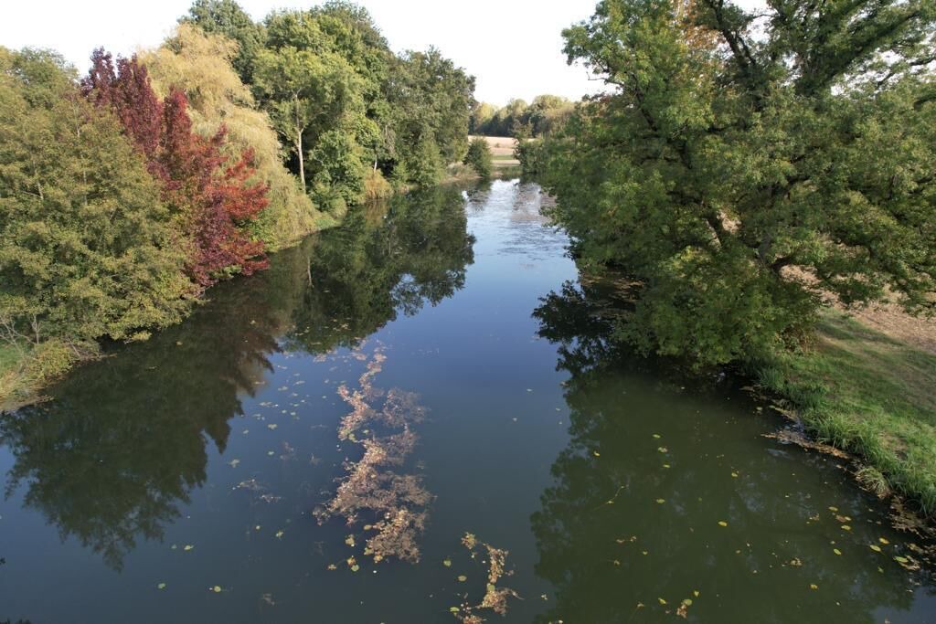 Photo of Others in Bonnes