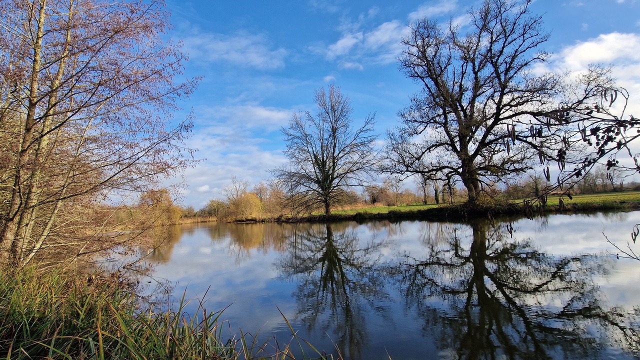 Photo of Others in Bonnes