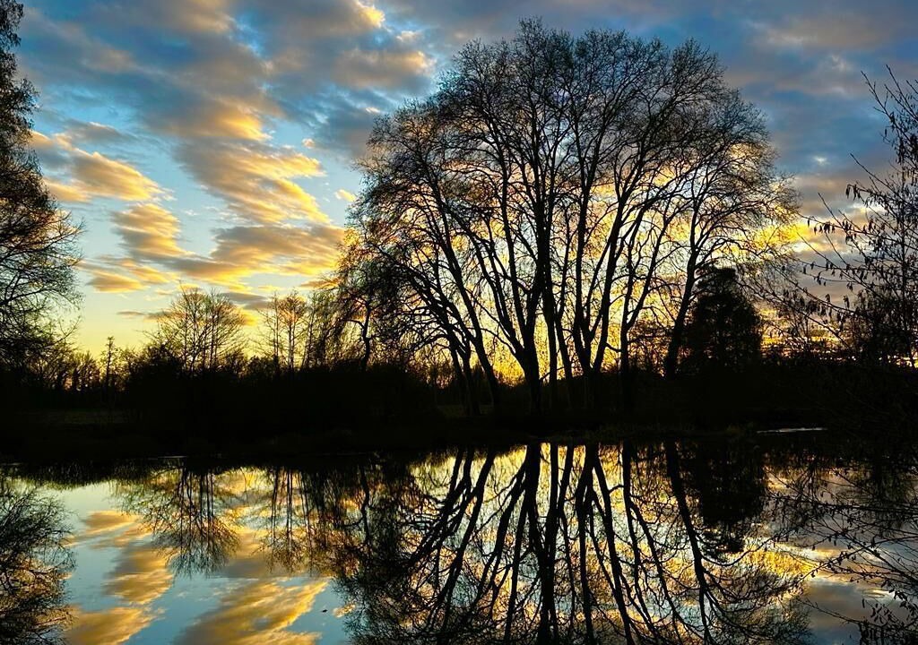 Photo of Others in Bonnes