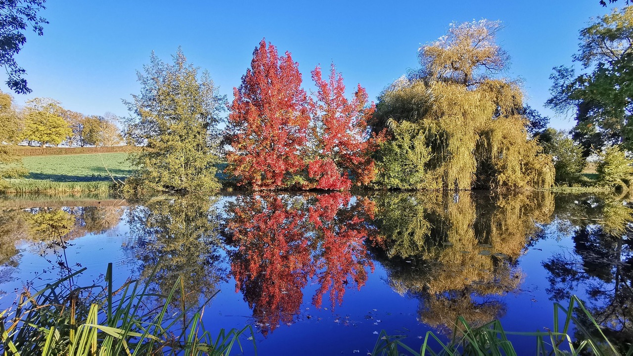 Photo of Others in Bonnes