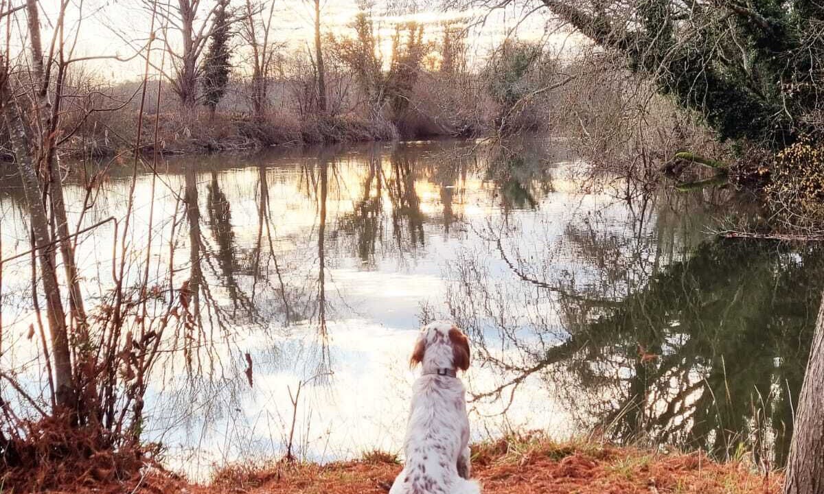 Photo of Others in Bonnes