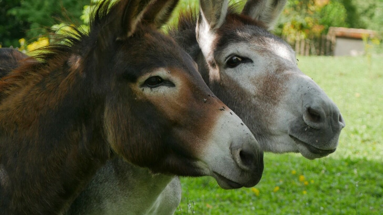 Photo of Others in Bonnes