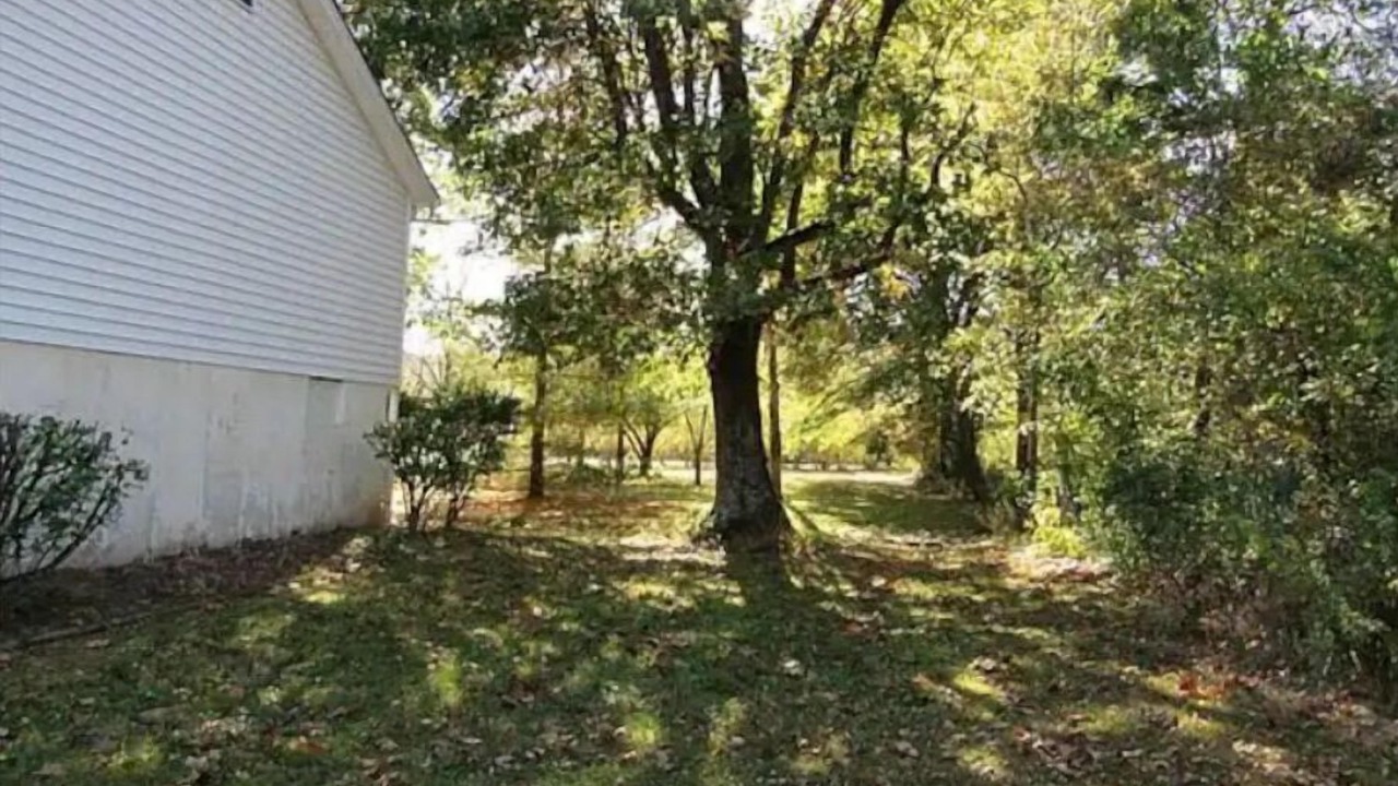 Photo of Outdoor in Eureka